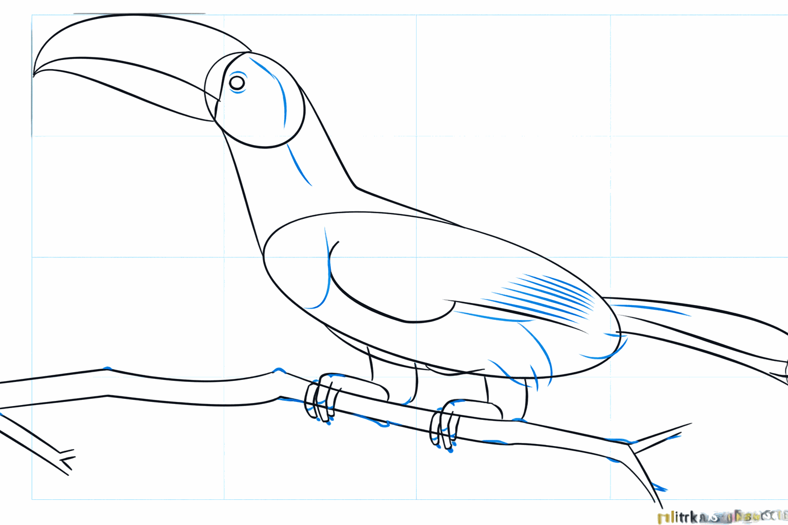 Getekende pootjes met teentjes die om de tak heen klemmen.