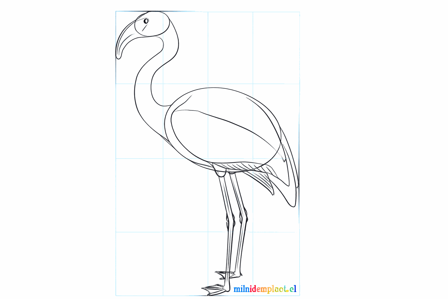 De voeten van de flamingo met drie tenen aan elke poot.