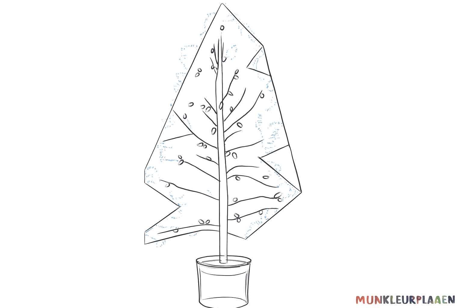 Kleine ovale vormen die als dennenappels aan de takken hangen.