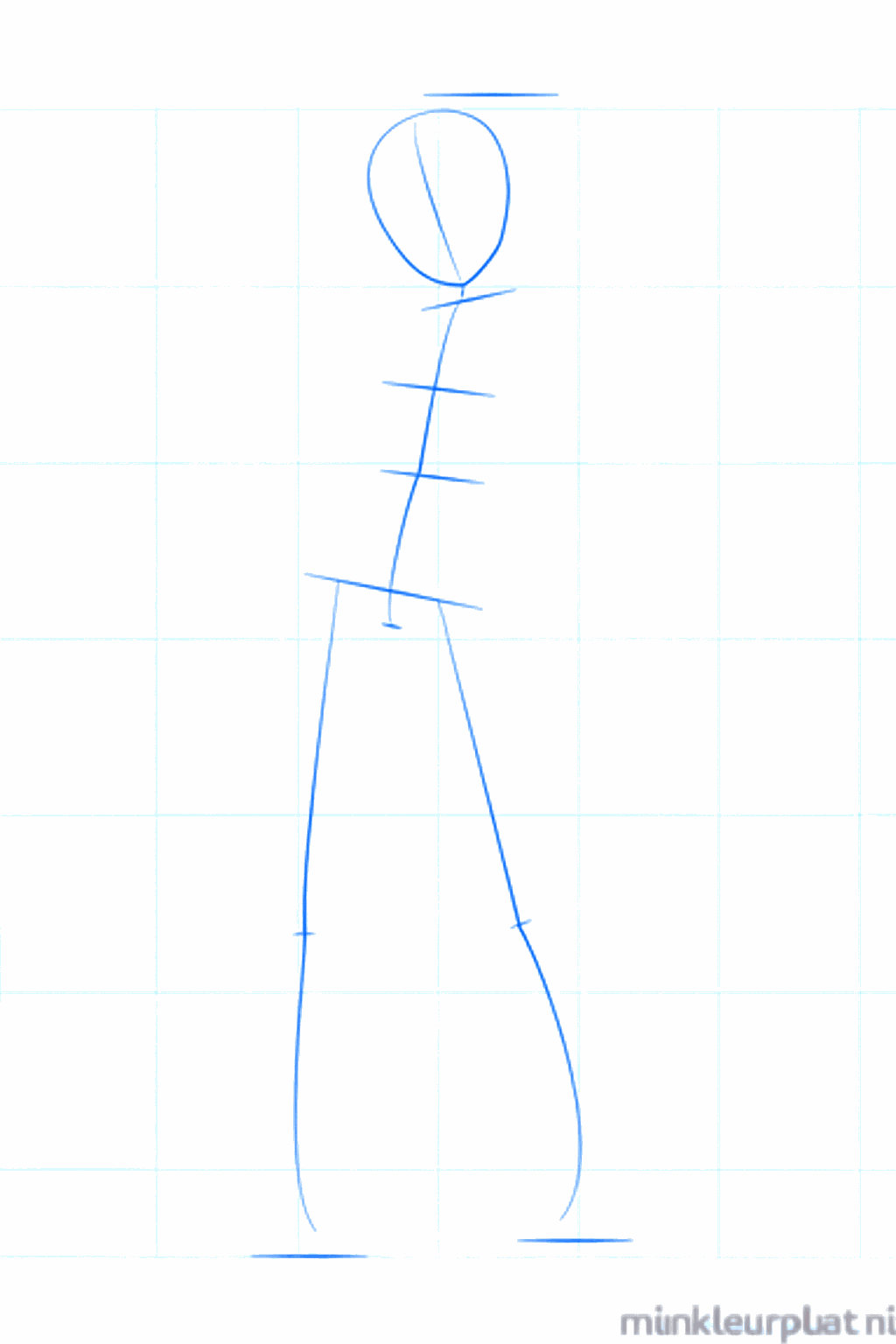 Basisvorm van het hoofd met een verticale hulplijn voor de lengte.