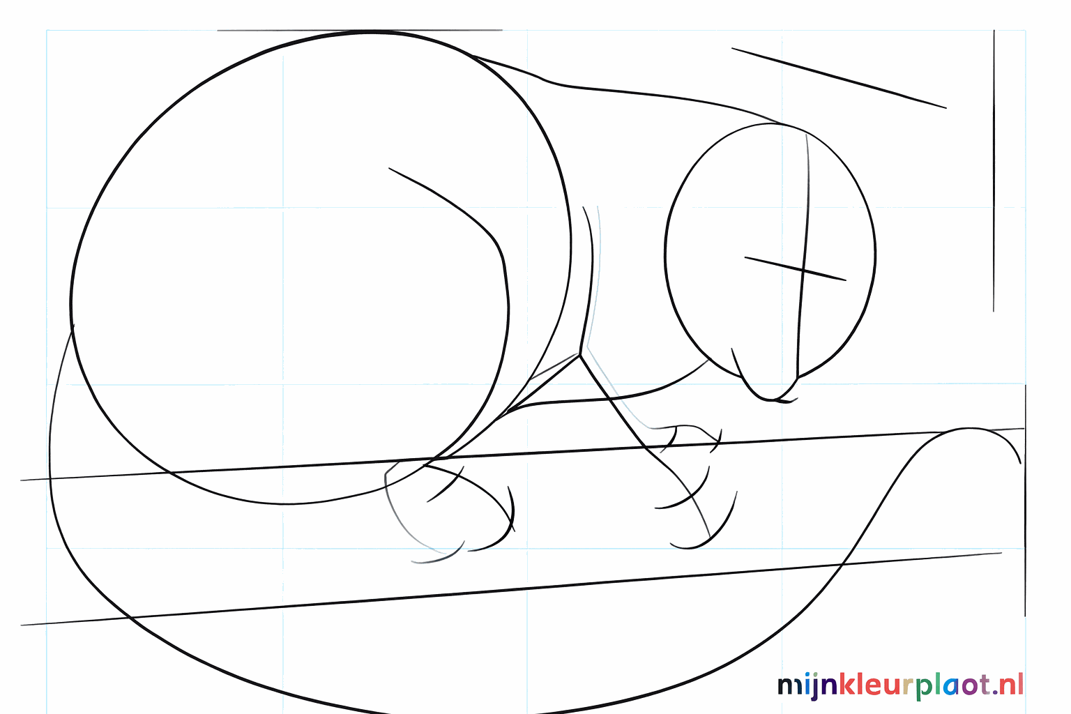 Hulplijntjes voor het gezicht en de positie van de poten van de buidelrat.