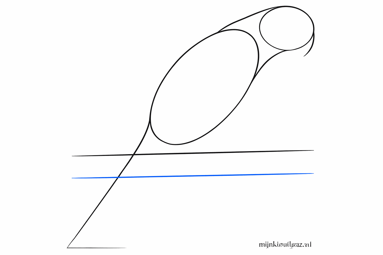 De neklijnen en een horizontale lijn waar de vogel op gaat zitten.