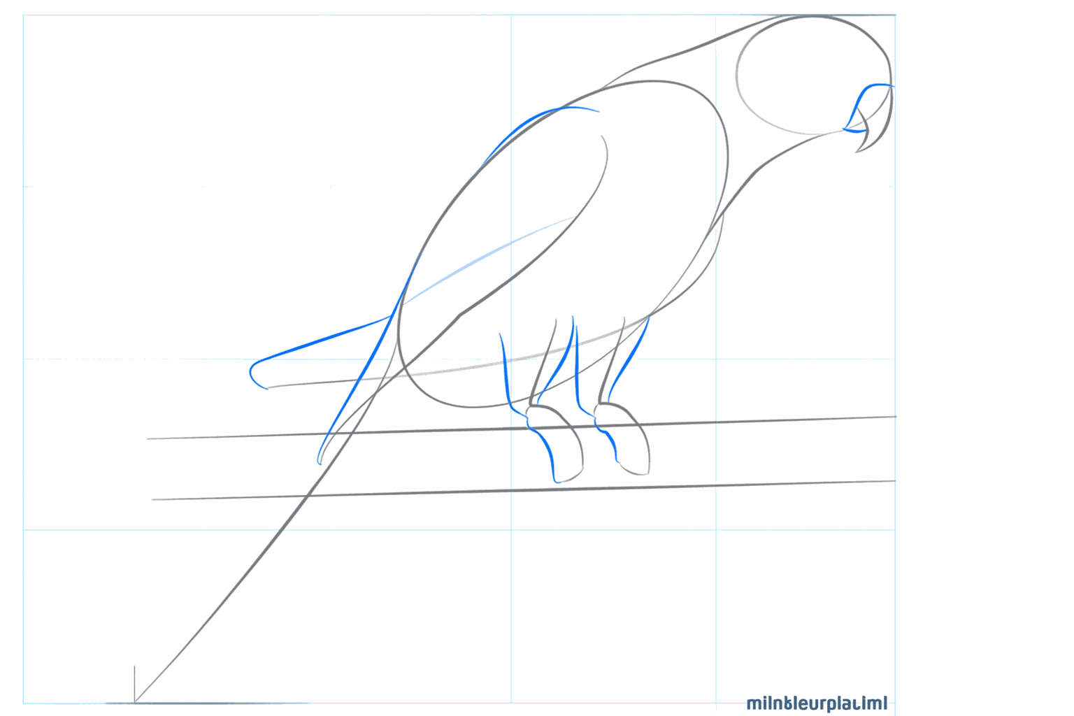 Hulplijnen voor de snavel op de kop en de pootjes bij de stok.