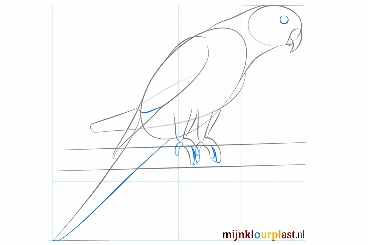 Een grote ovale vorm op de zijkant van het lichaam voor de vleugel.