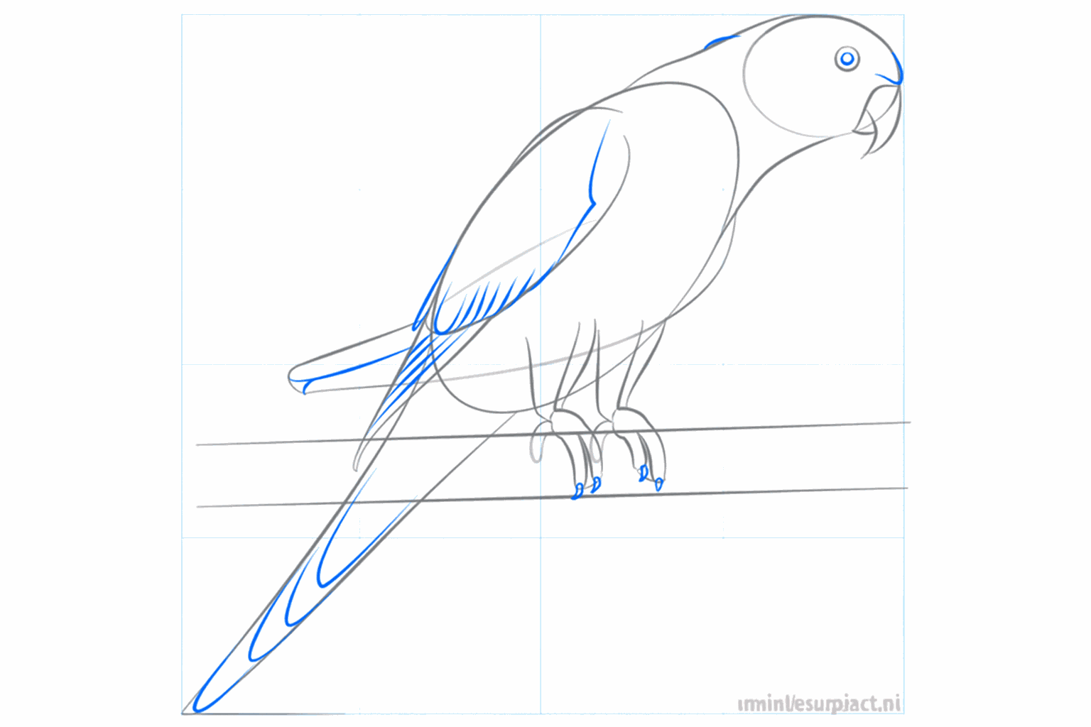 Details van het gezicht met een oogje en de pootjes om de stok geklemd.