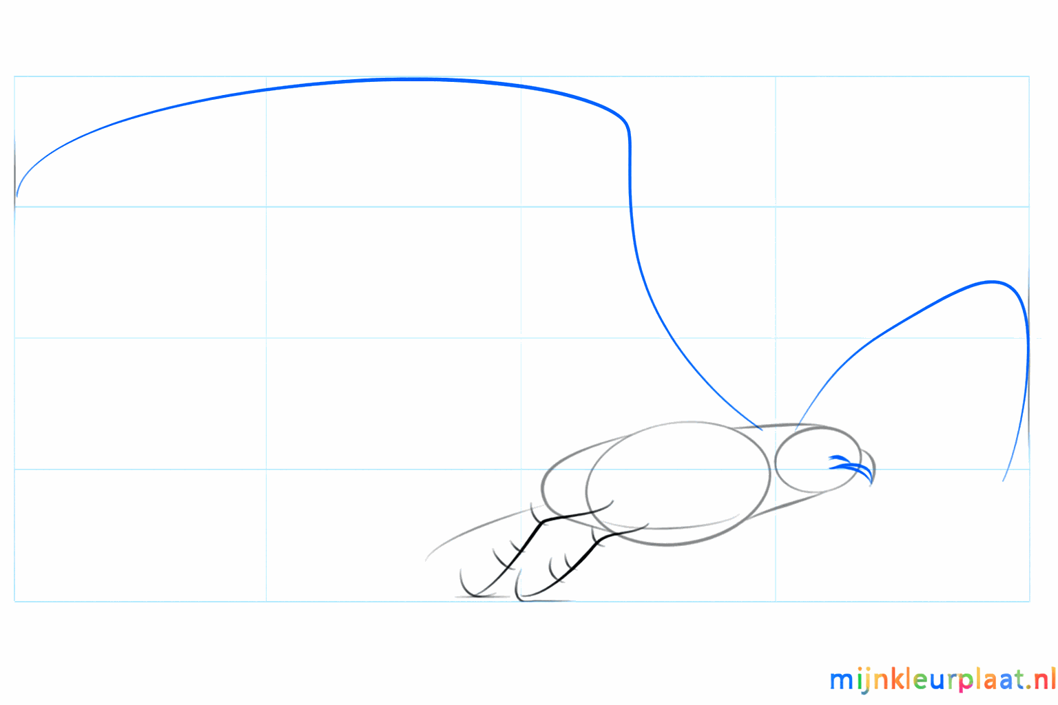 Lijnen die de positie van de vleugels en de poten aangeven.