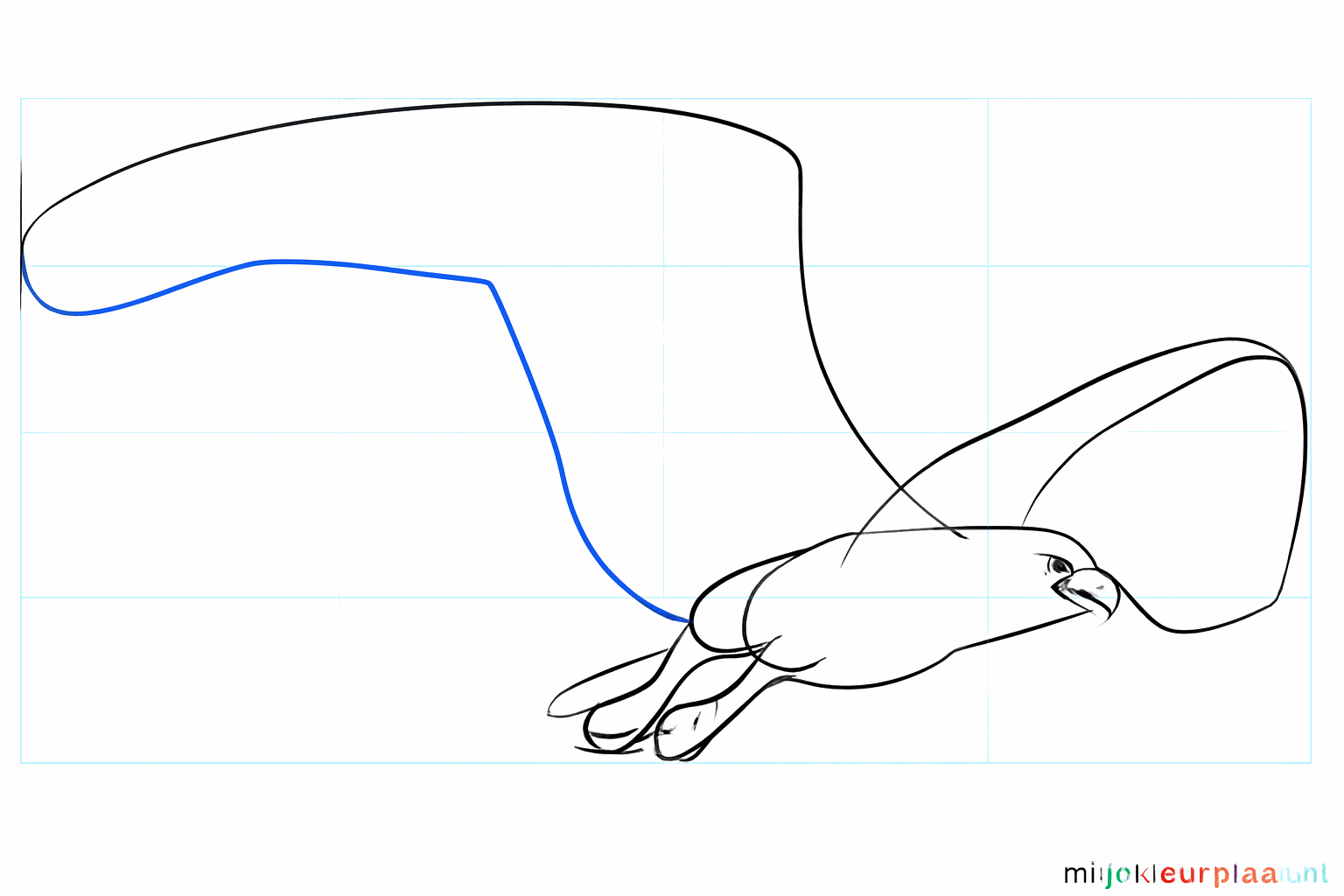 Vormen van de snavel en de poten van de visarend.