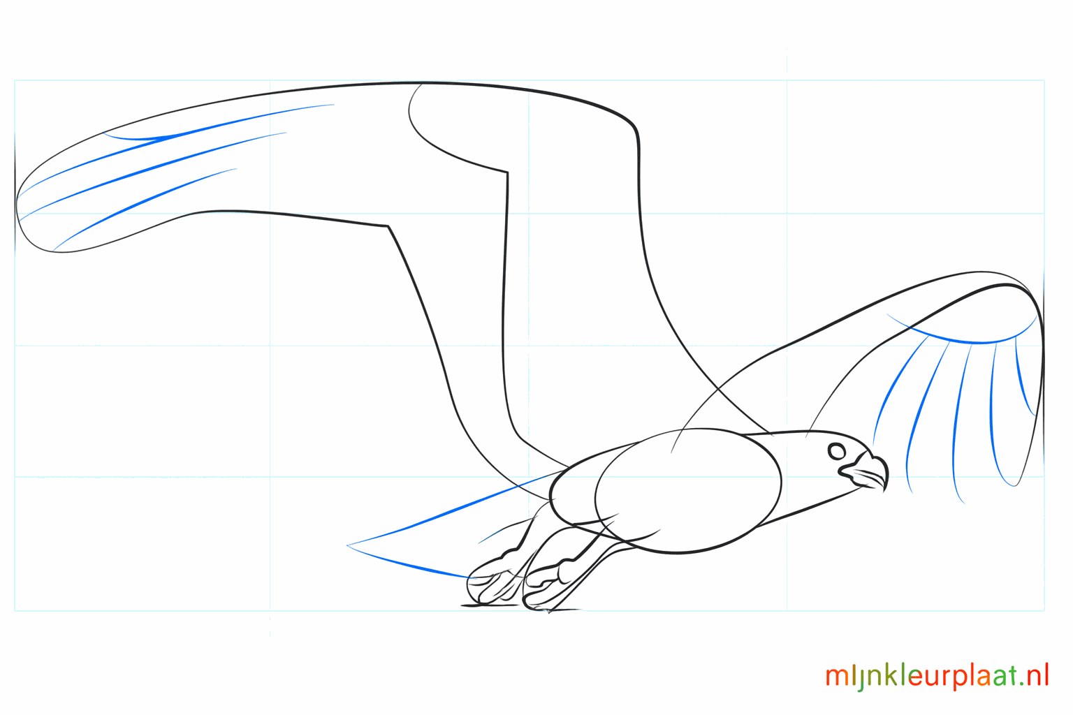 Details van de vleugel en het oog van de vogel.