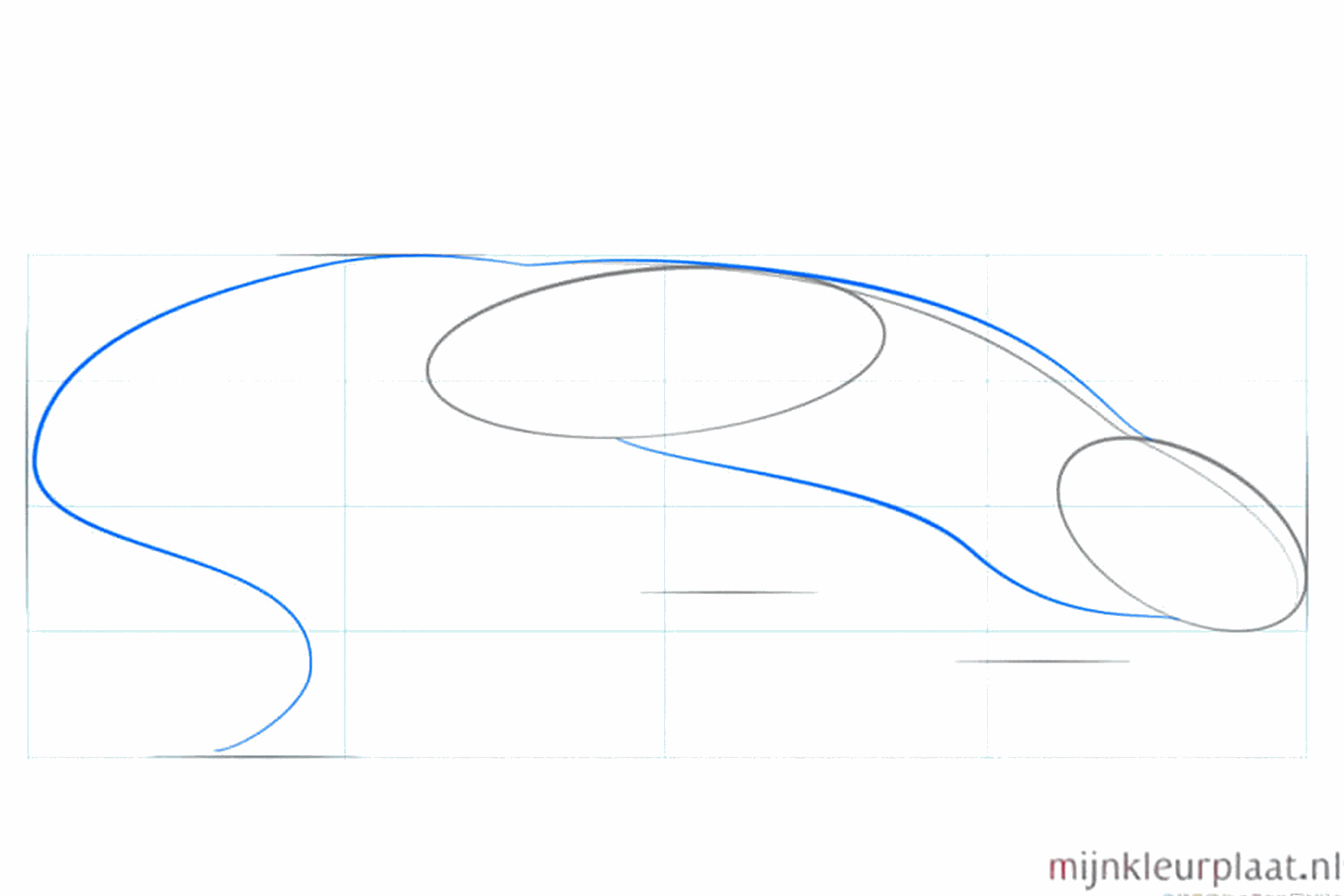 De omtrek van het lijf en de nek van de salamander getekend met vloeiende lijnen.