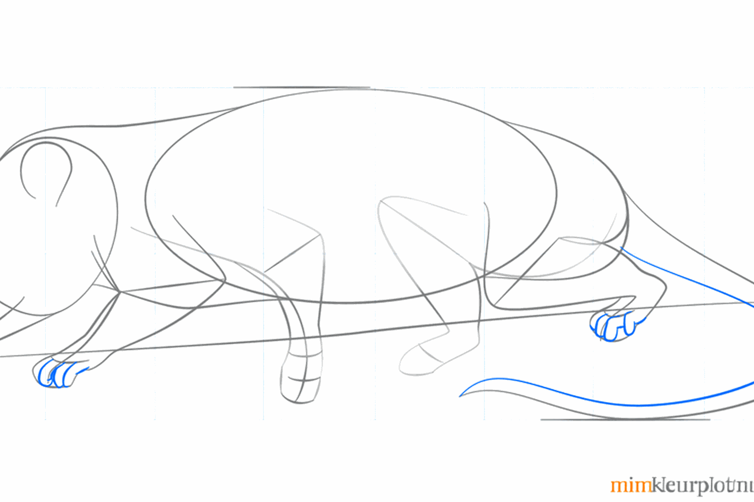 Details zoals het oog, de neus en een dikkere staart worden toegevoegd.