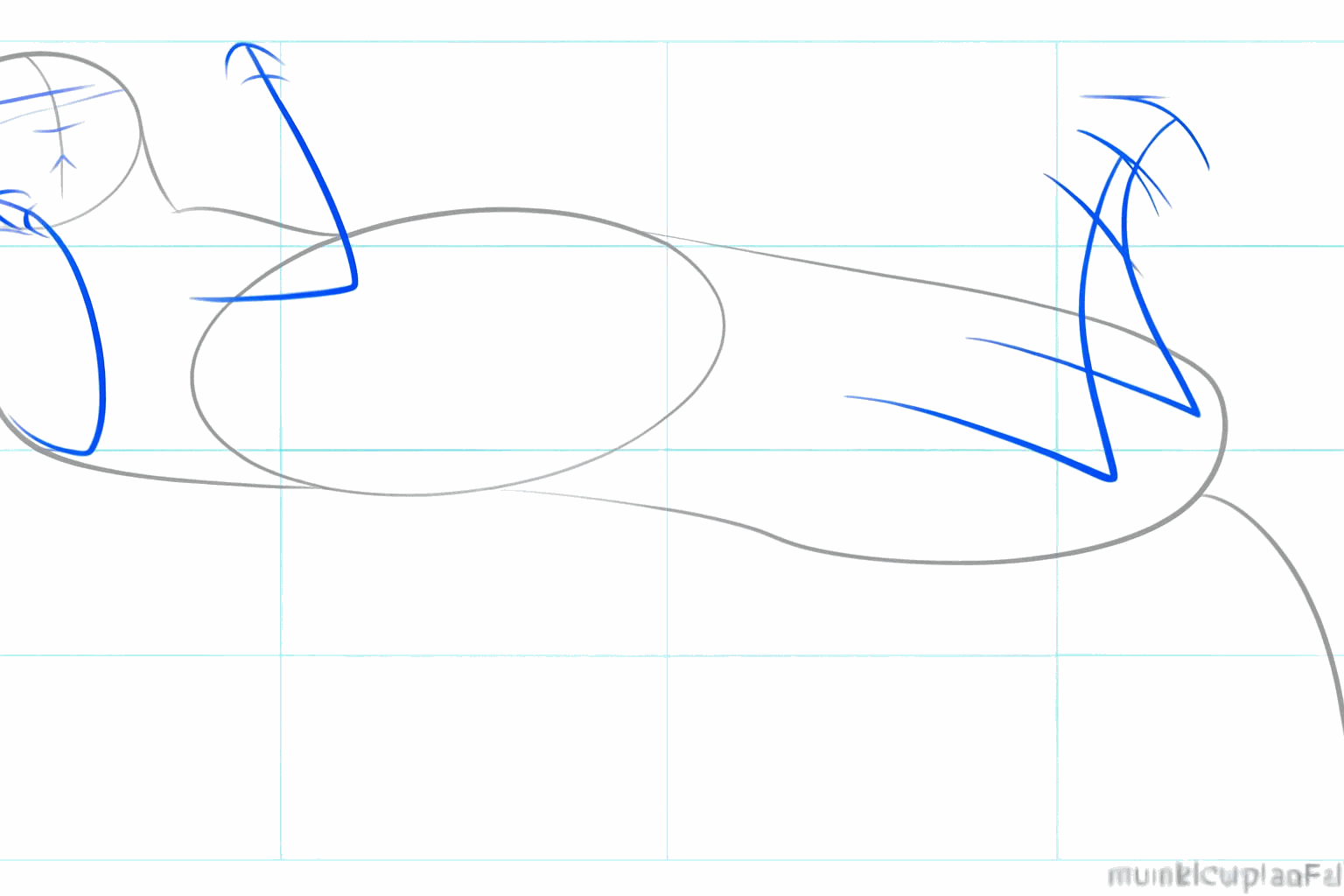Korte streepjes op het lichaam die aangeven waar de vier poten van de otter komen.