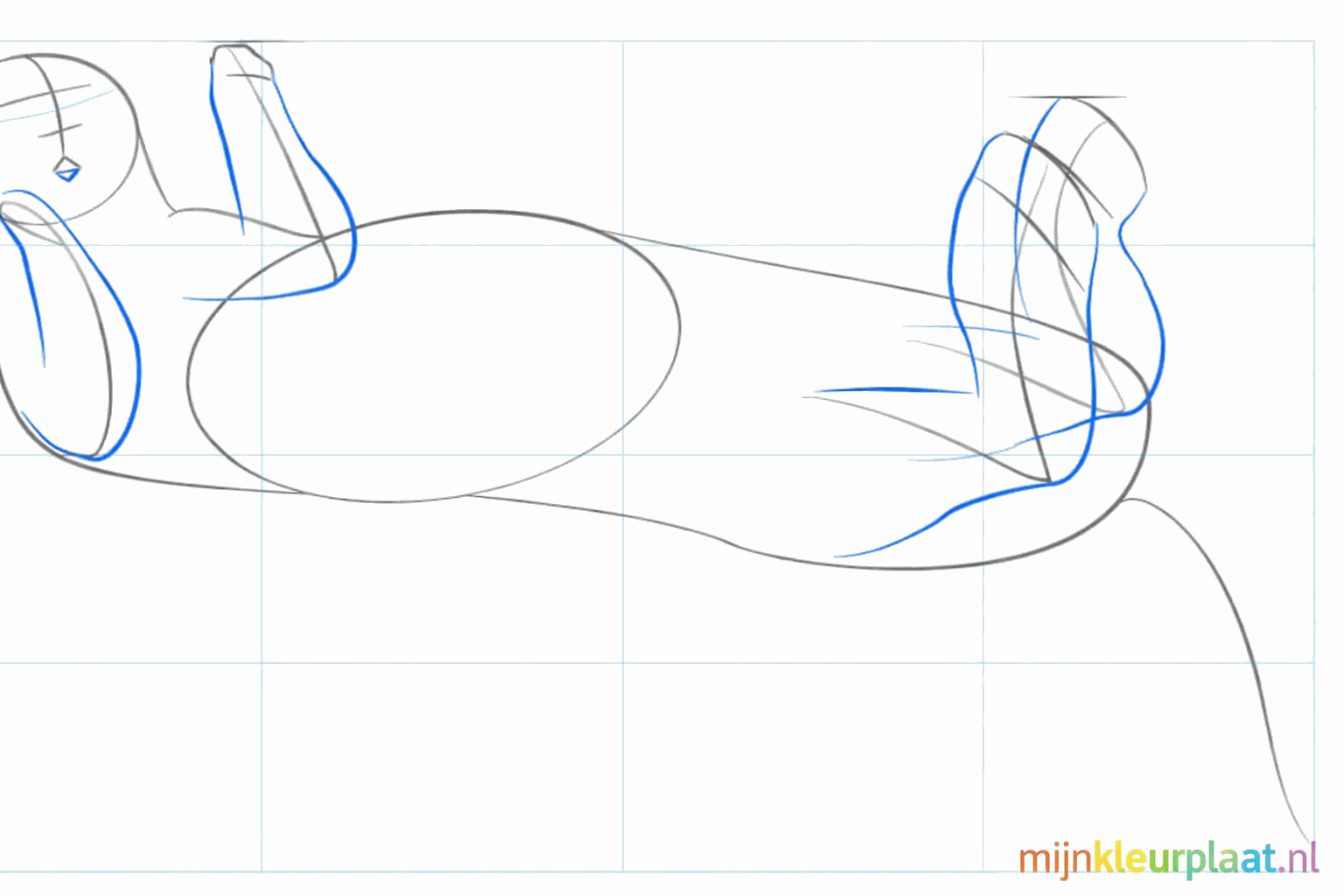 Vier ronde vormen die de pootjes van de zeeotter vormen.