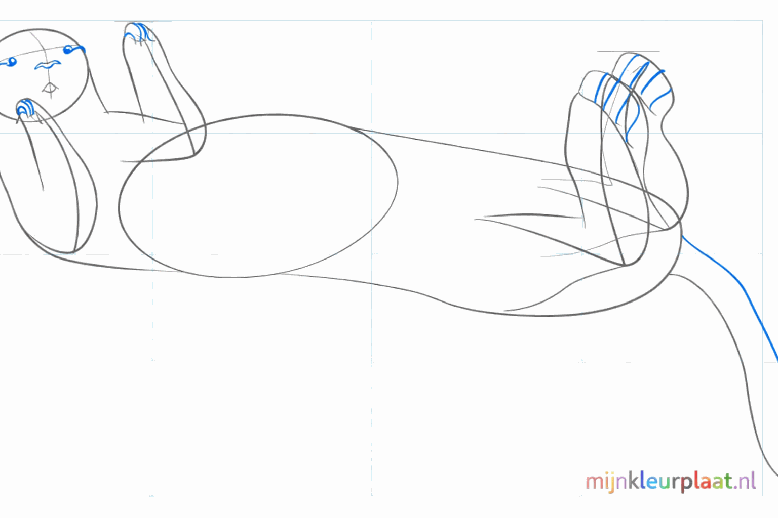 Detail van de kop met een kleine neus en twee boogjes voor de oren.