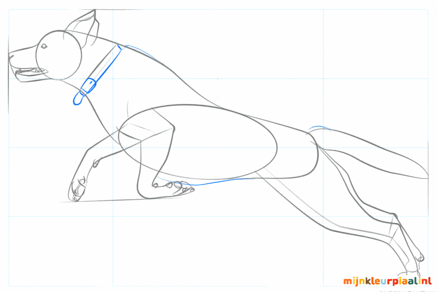 Tekenles labrador stap 6: Details zoals het oog, de neus en de tenen toevoegen.