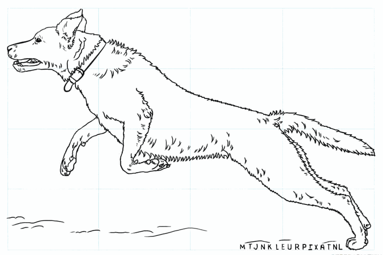 Labrador tekenles stap 8: De tekening afmaken en hulplijnen wegvegen.