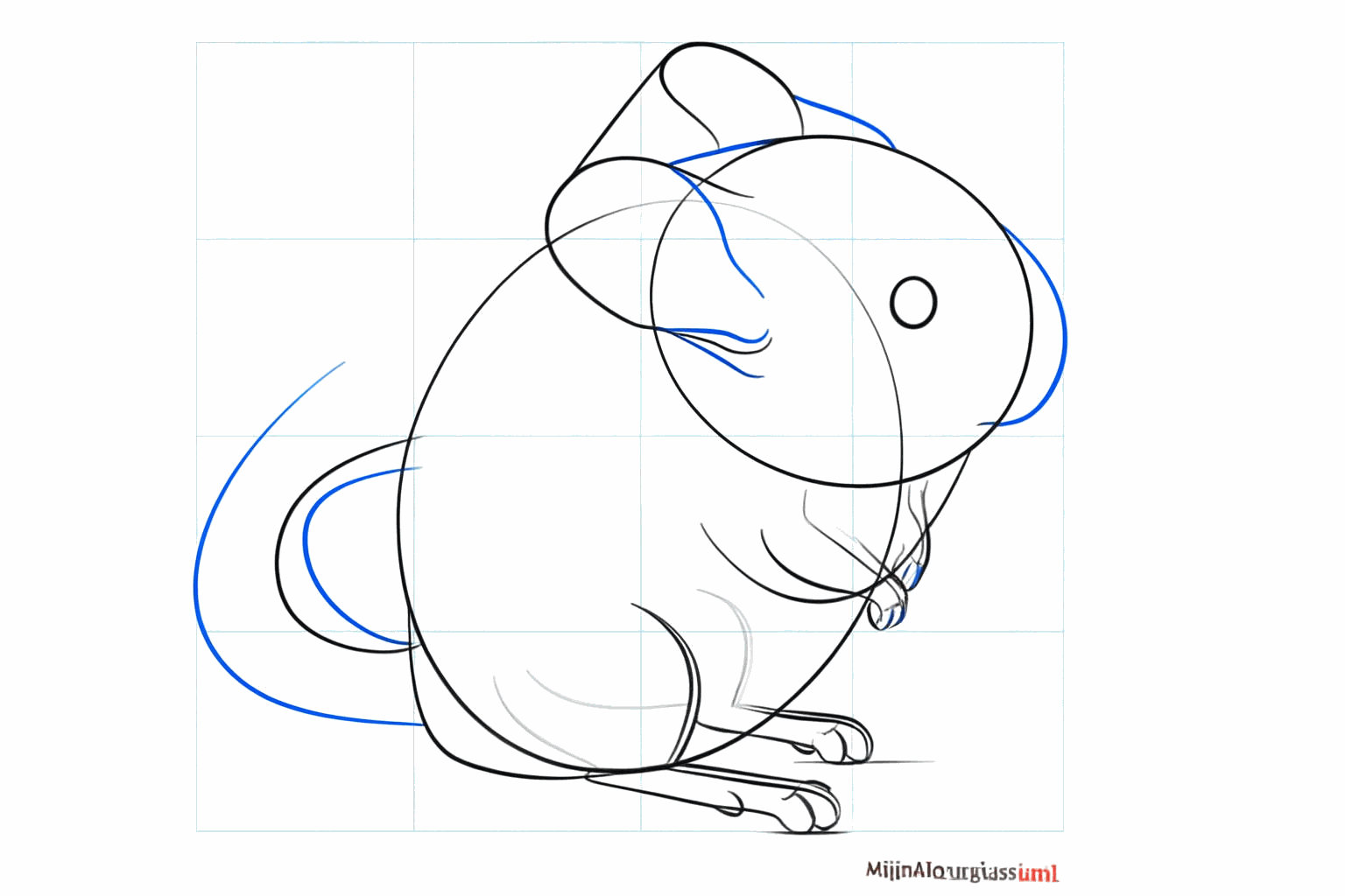 Oogjes in het gezicht en een dikke staart aan de achterkant.