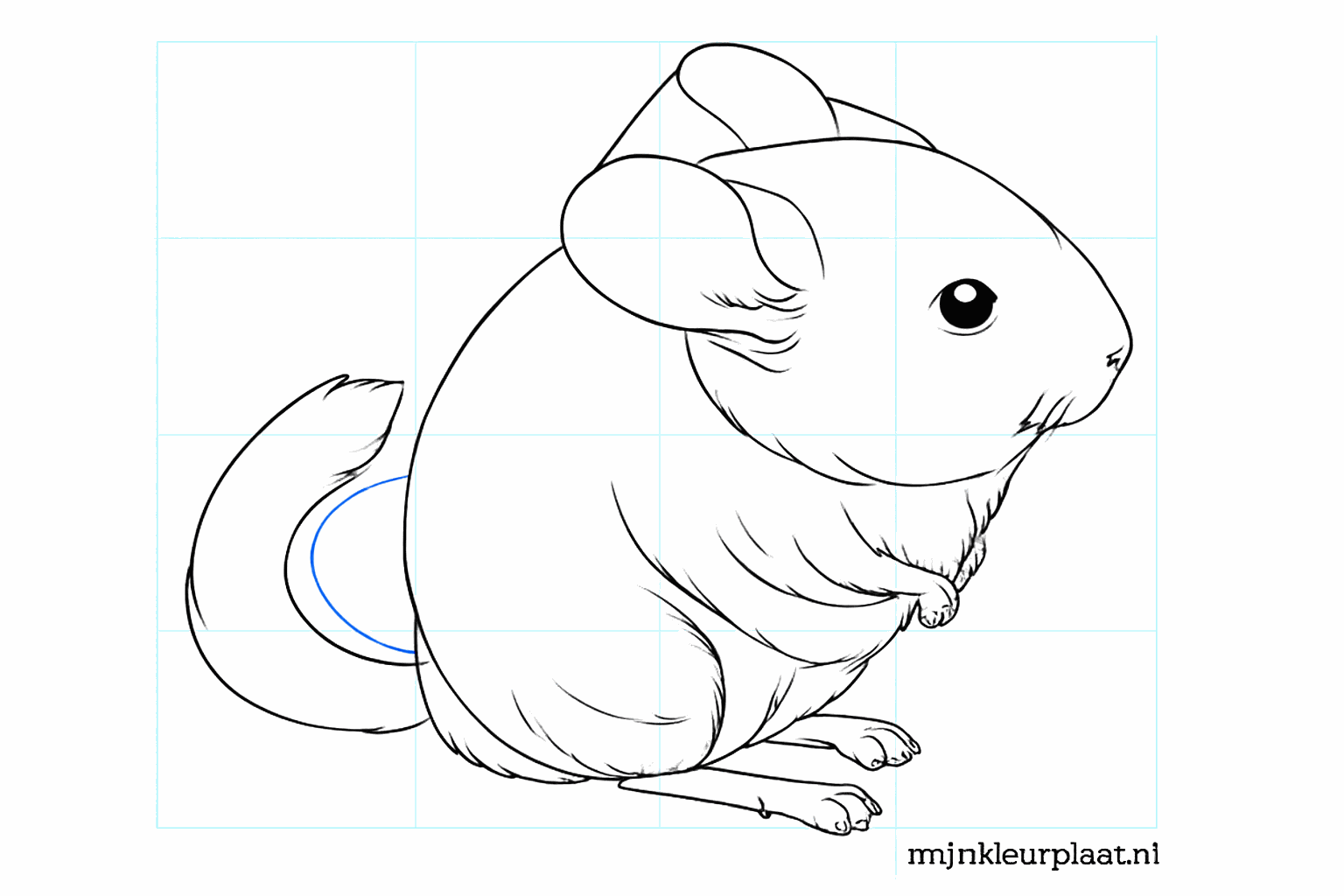 Details van de tenen en de binnenkant van de grote oren.